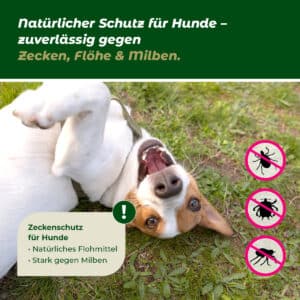 WAUWAU BIO Zeckenöl - „Natürlicher Zeckenschutz für deinen Hund“ – Bild 5