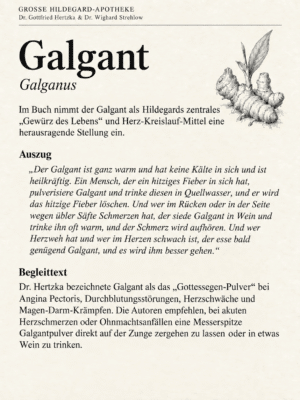Galgant - Große Hildegard-Apotheke – Dr. Gottfried Hertzka & Dr. Wighard Strehlow