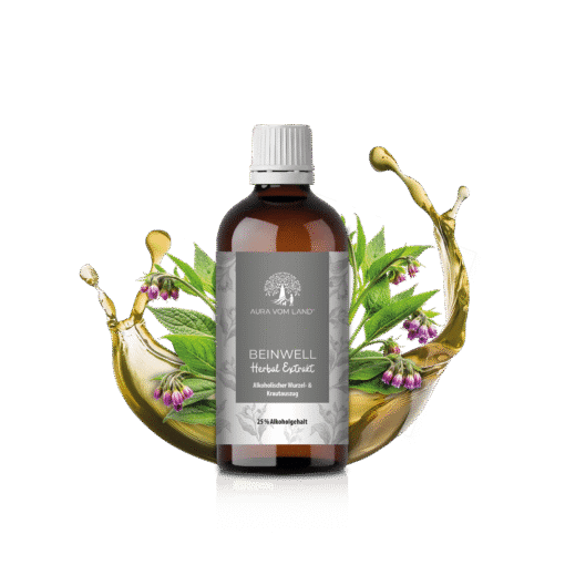 Flasche 100 ml Beinwell Tintur mit Beinwell Kraut und Blüten