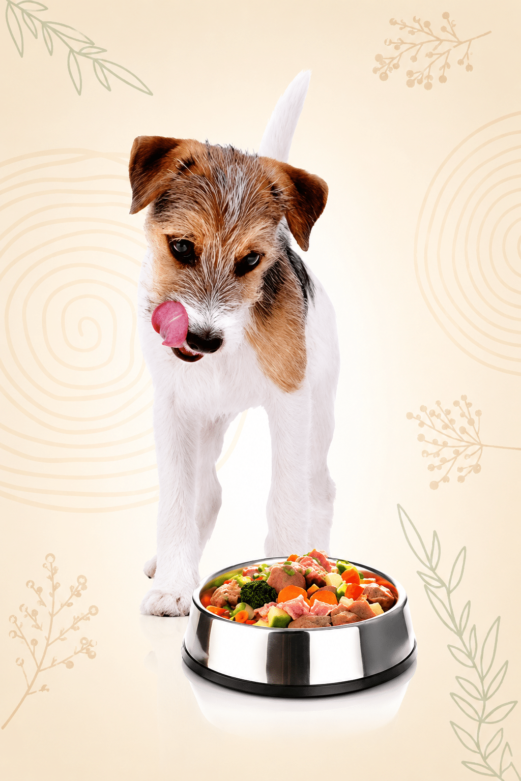 Hundefutter