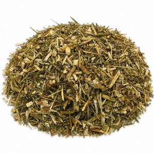 Beifuß geschnitten – Einjähriger Beifuß Artemisia annua L. – Bild 3